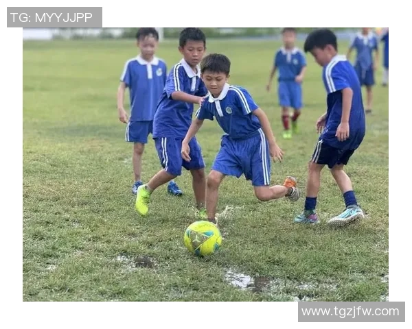 南粤足球明星训练营助力青少年成长与梦想实现的足球之路